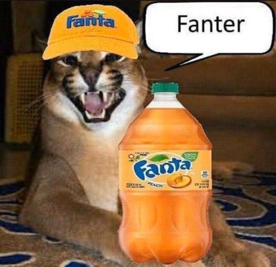 floppa promotes his favourite beverage, 'fanter'.